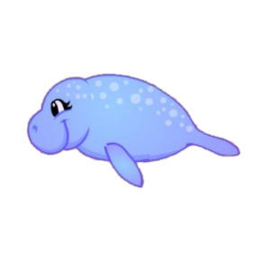 Cute Manatee